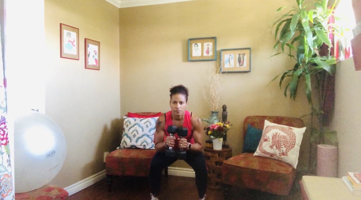 Full Body Circuit: Dumbbells & Stability Ball