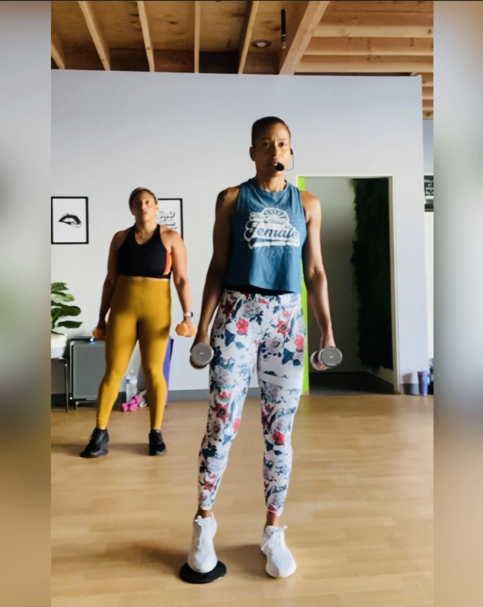 Kickfit Cardio Sculpt/HIIT Circuit: Light & Medium Dumbbells, Slider/Disc & Mat