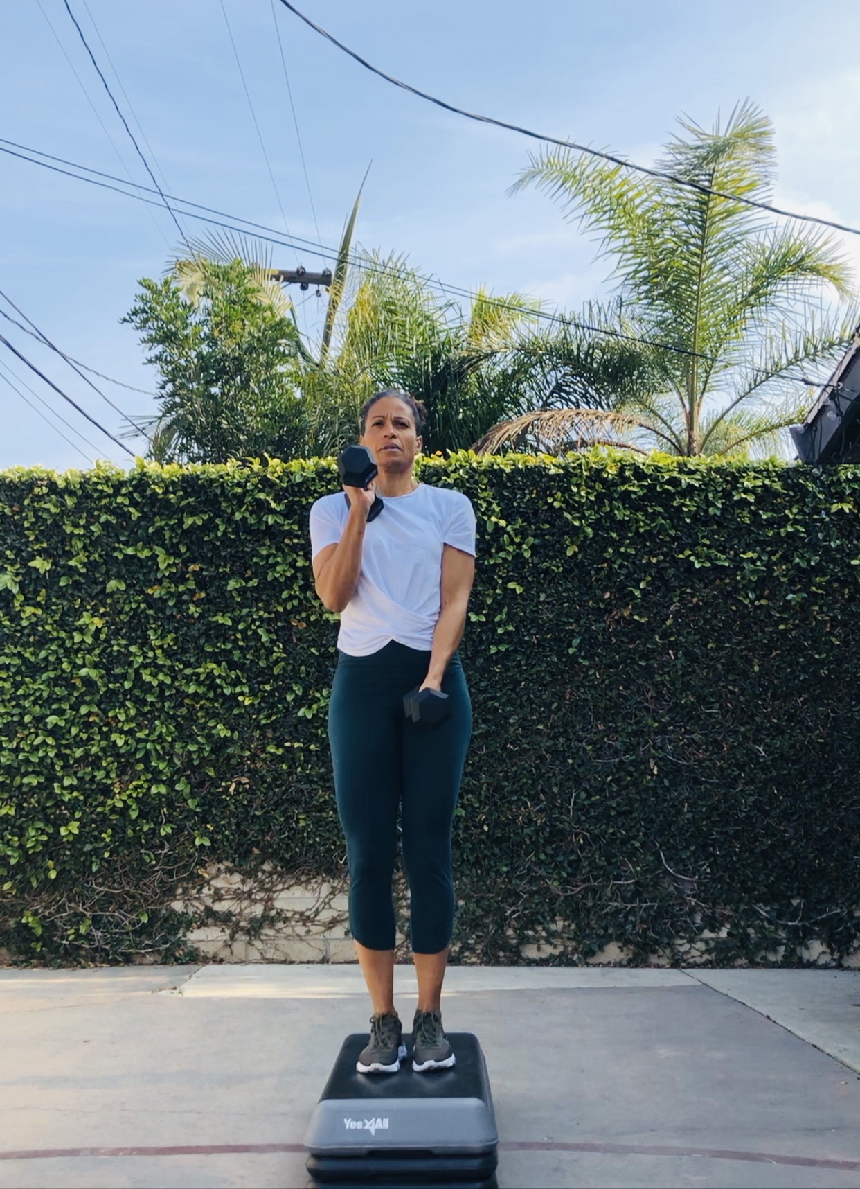 Full Body Circuit: Dumbbells, Step & Mat 