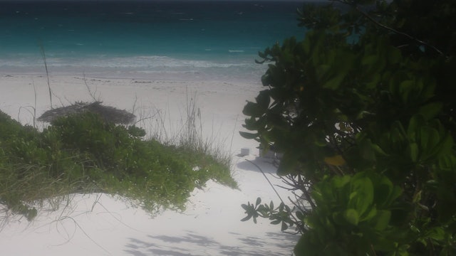Beach entry Bahamas