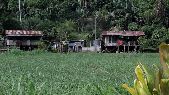 2 Houses in Papua New Guinea