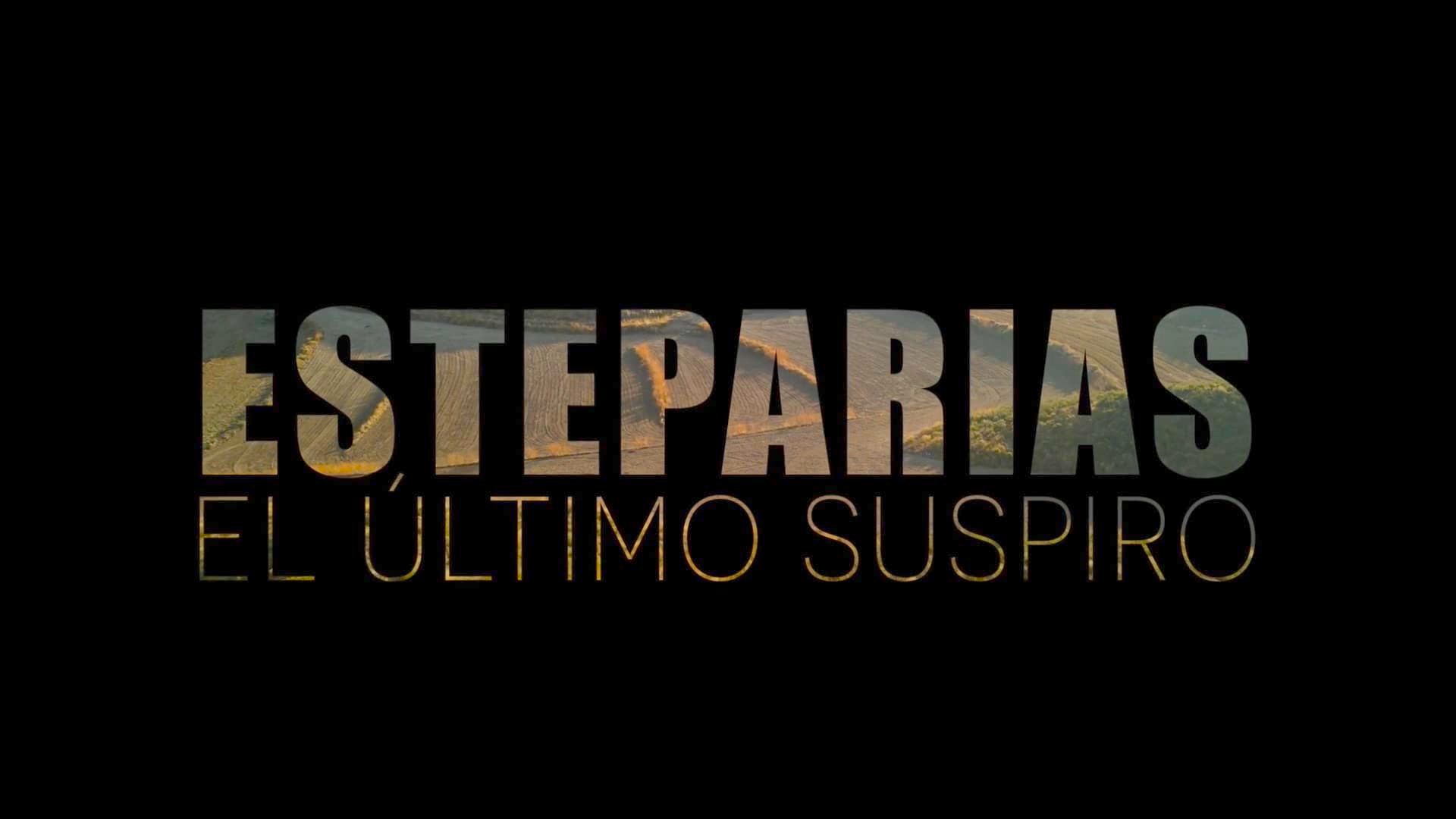 STEPPE BIRDS, THE LAST BREATH