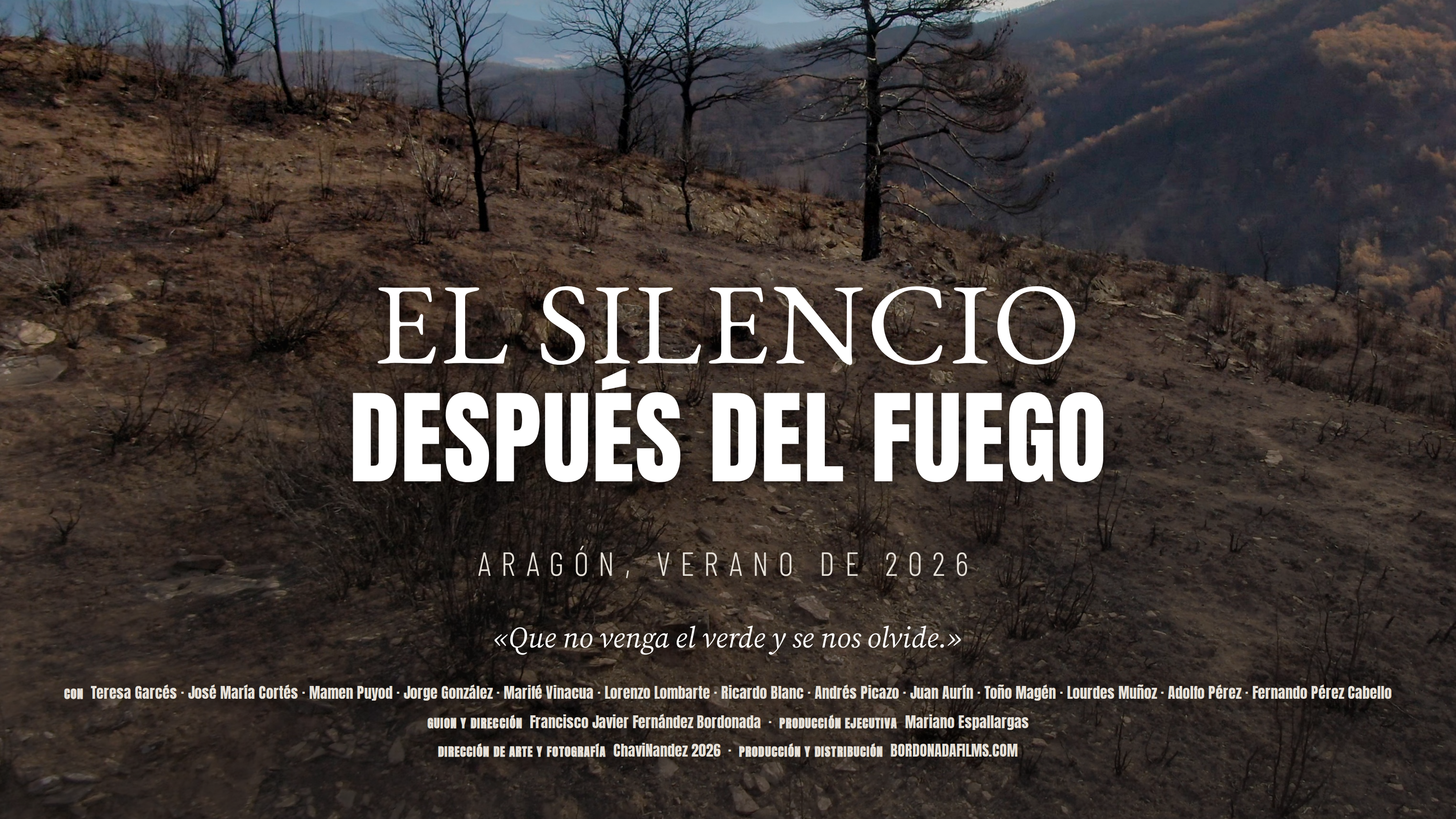 SILENCE AFTER THE FIRE