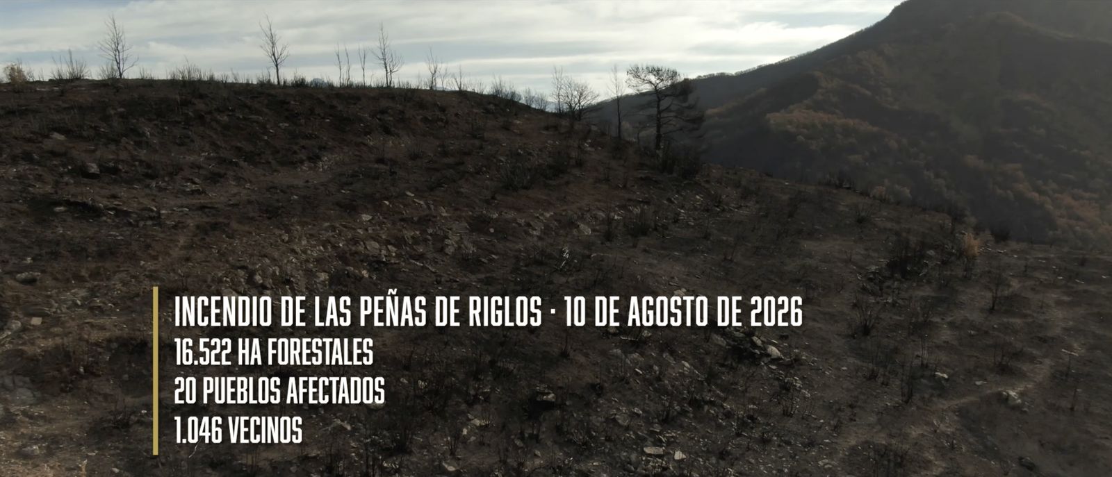 Bordonada Films