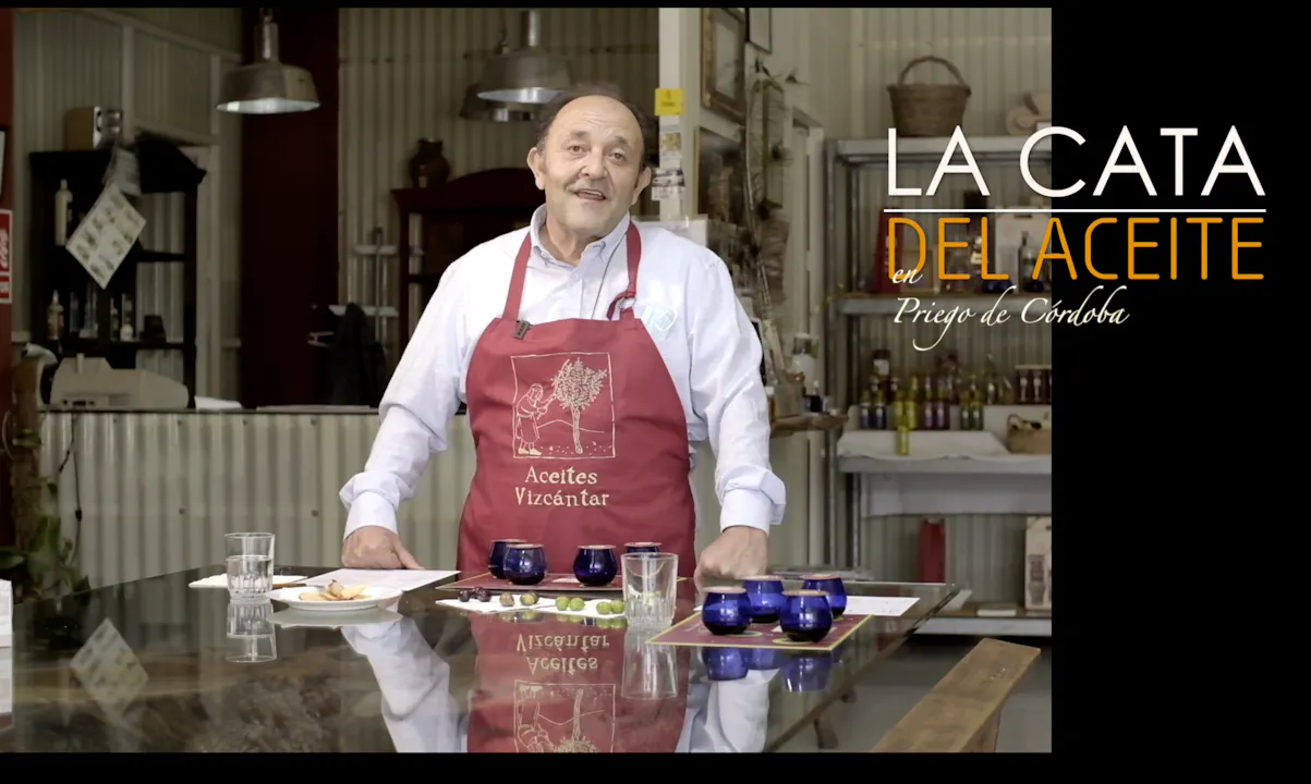 OLIVE OIL TASTING IN PRIEGO DE CORDOBA