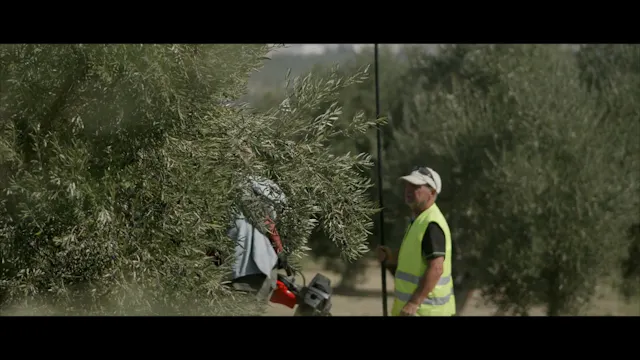 FORCED RENEWABLES (OTT) 52 min VOSE English Burned-version