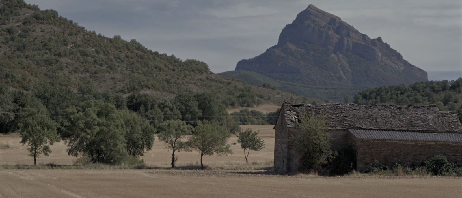 Bordonada Films
