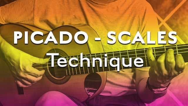 Technique Bootcamp - Picado/Scales Technique