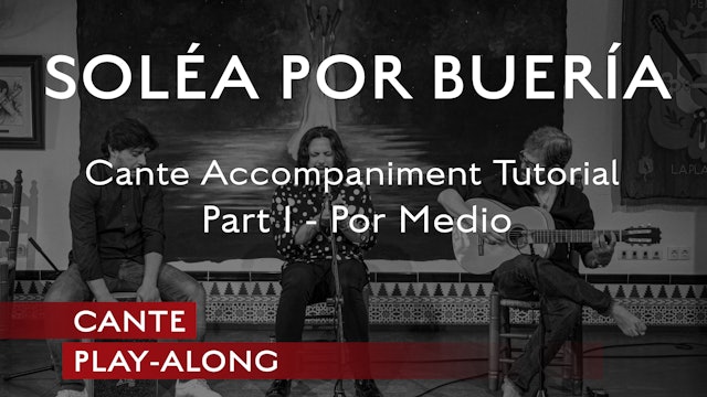 Cante Play-Along - Solea Por Buleria -Cante Accompaniment TUTORIAL - Part 1 