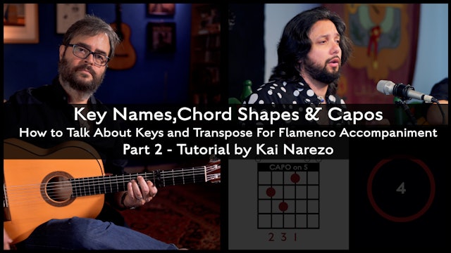 How-To Talk Keys and Transpose For Flamenco Accompaniment - Part 2 - TUTORIAL