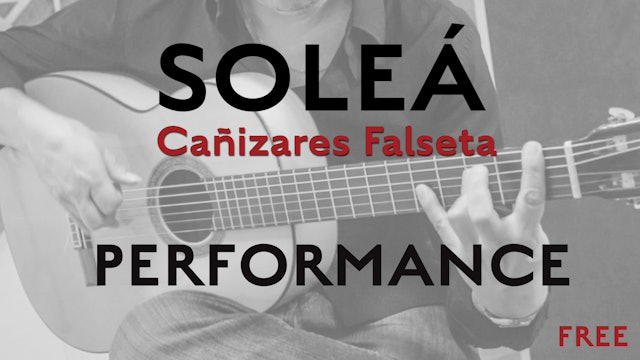 Friday Falseta - Cañizares Solea Falseta - Performance