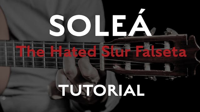 Friday Falseta - Hated Solea Slur Fal...