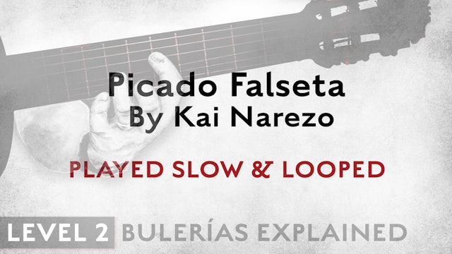 Bulerias Explained - Level 2 - Picado Falseta by Kai Narezo - SLOW & LOOPED
