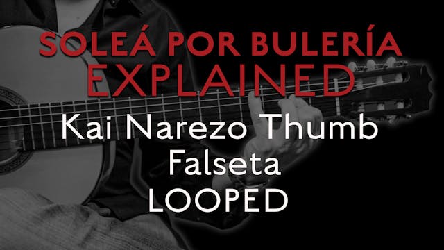 Solea Por Bulerias Explained - Kai Na...