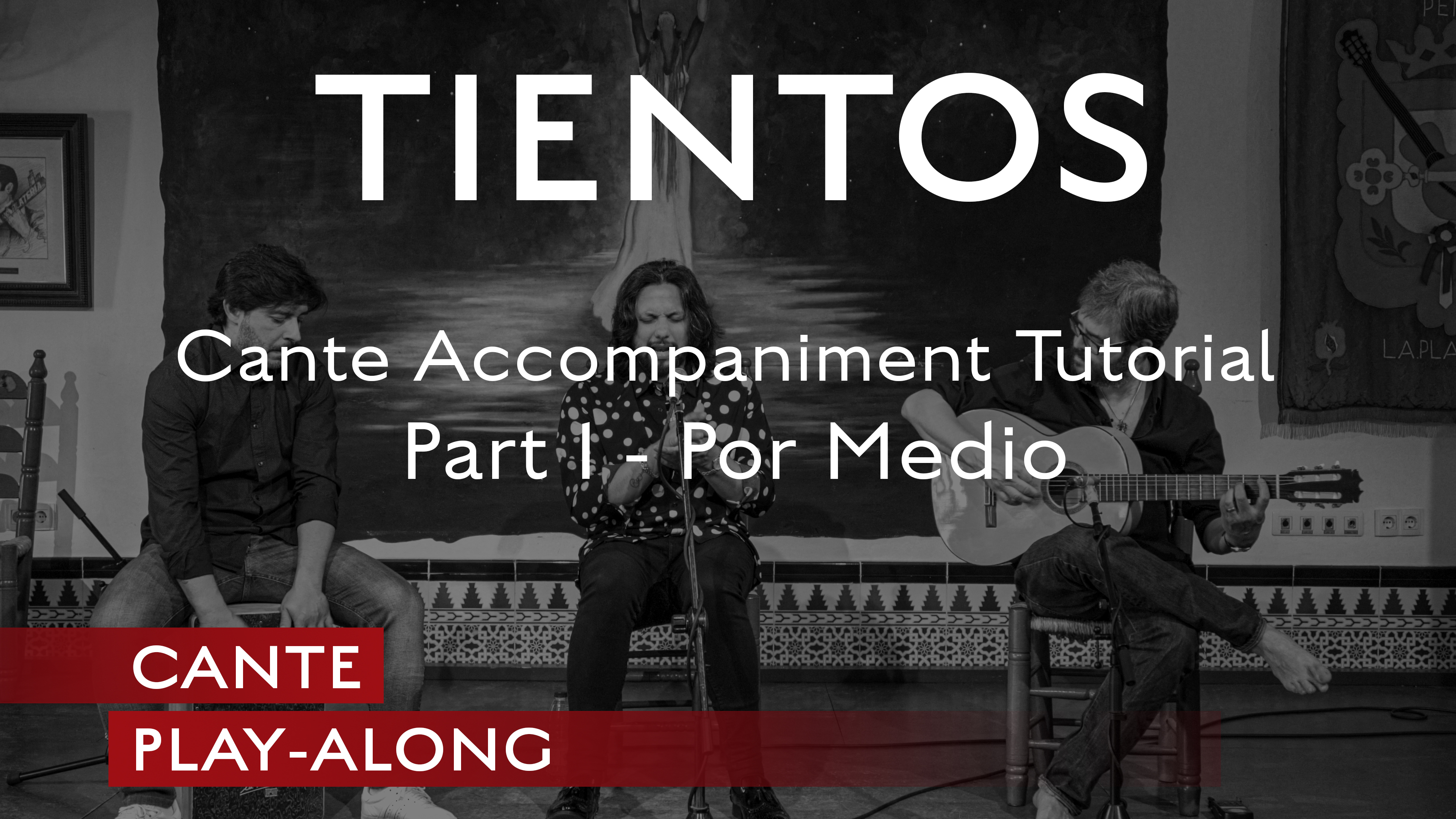 Cante Play-Along - Tientos - Cante Accompaniment TUTORIAL Part 1 - Por Medio