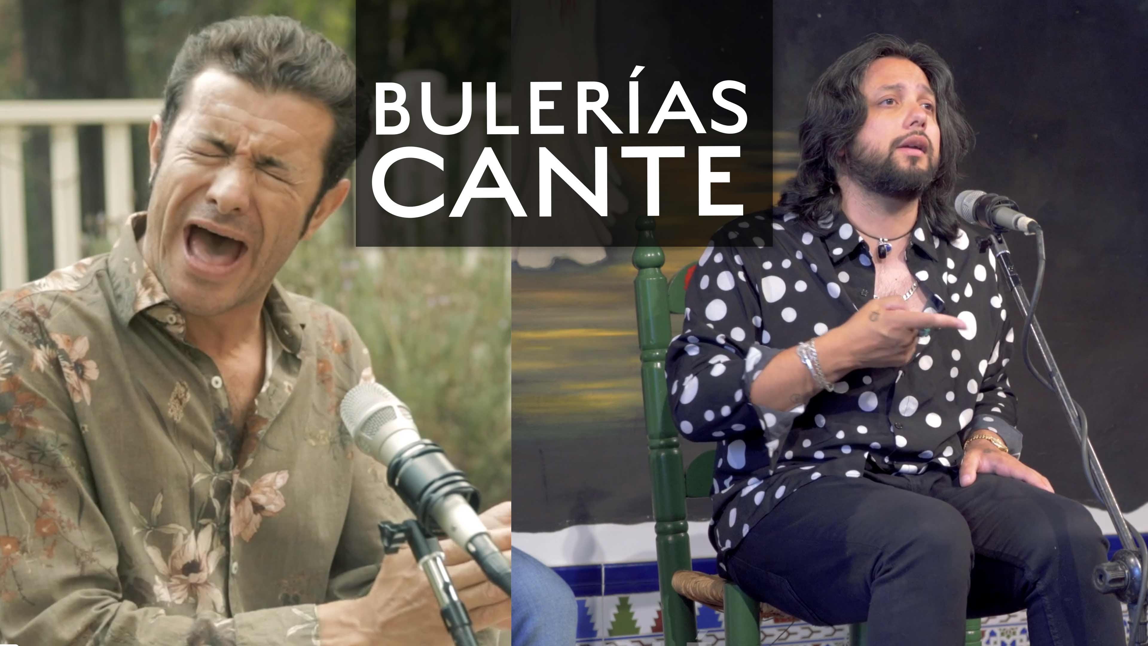 Bulerias Cante