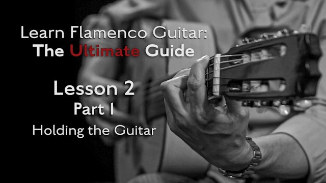 Lesson 2 - Part 1 - Holding the Guitar