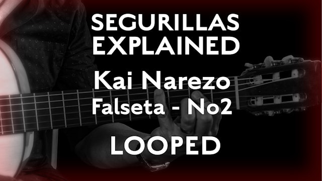 Seguirillas Explained - Kai Narezo Falseta #2- SLOW/LOOPED