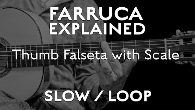 Farruca Explained - Thumb Falseta with Scale - SLOW / LOOP