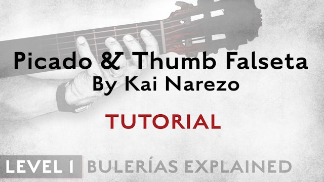 Bulerias Explained - Level 1 - Picado & Thumb Falseta by Kai Narezo - TUTORIAL