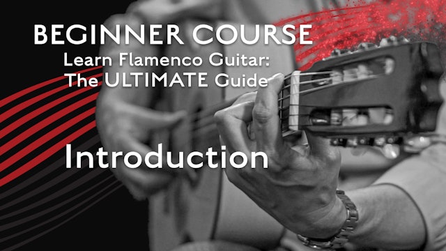 Learn Flamenco Guitar: The Ultimate Guide - Introduction