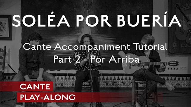Cante Play-Along - Solea Por Buleria -Cante Accompaniment TUTORIAL - Part 2 