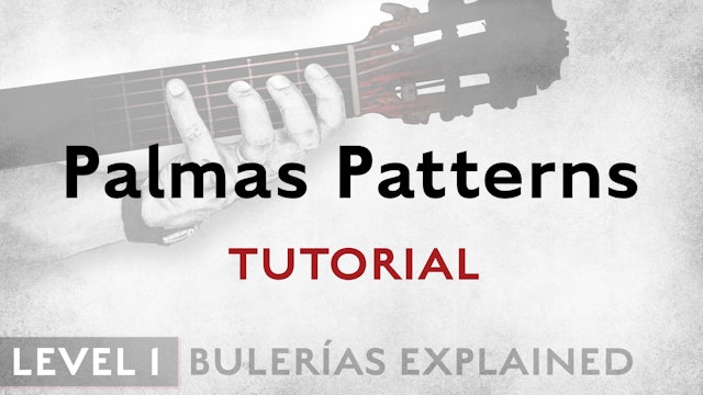 Bulerias Explained - Level 1 - Palmas Patterns - TUTORIAL