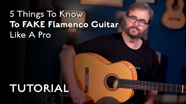 5 Things To Know To Fake Flamenco Gui...