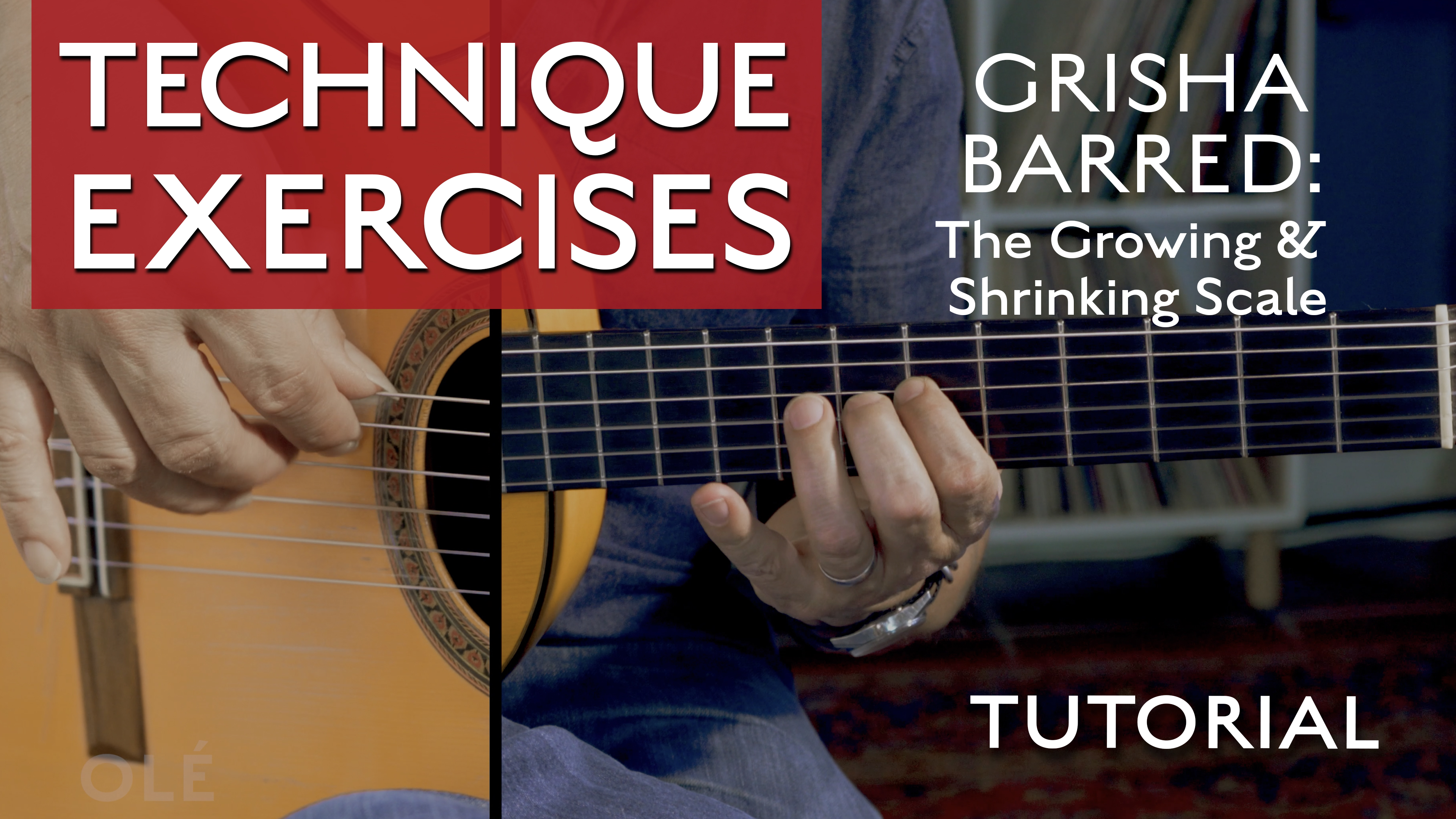 Technique Exercise - Grisha's Picado Exercise, Barred - TUTORIAL