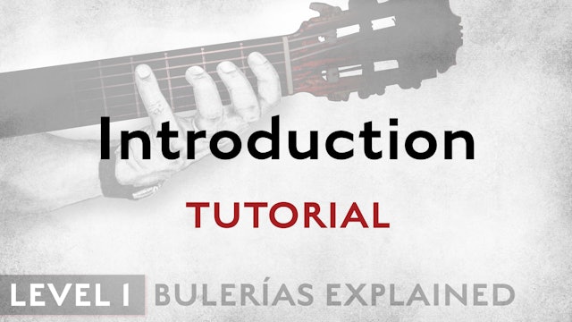 Bulerias Explained - Level 1 - Introduction - TUTORIAL