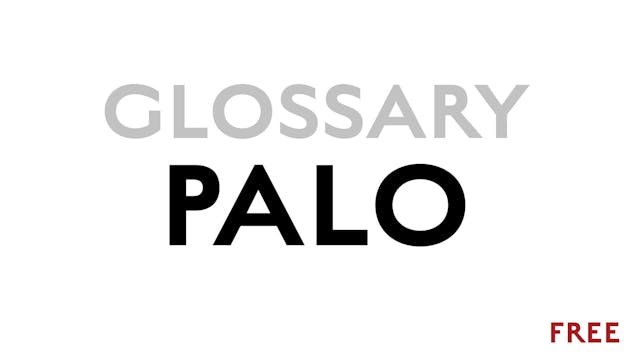 Palo - Glossary Term