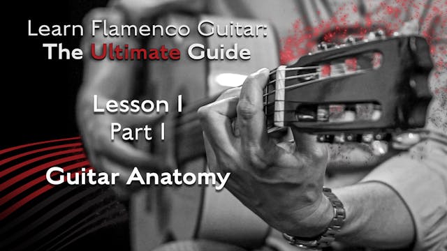 Lesson 1 - Part 1 - Guitar Anatomy