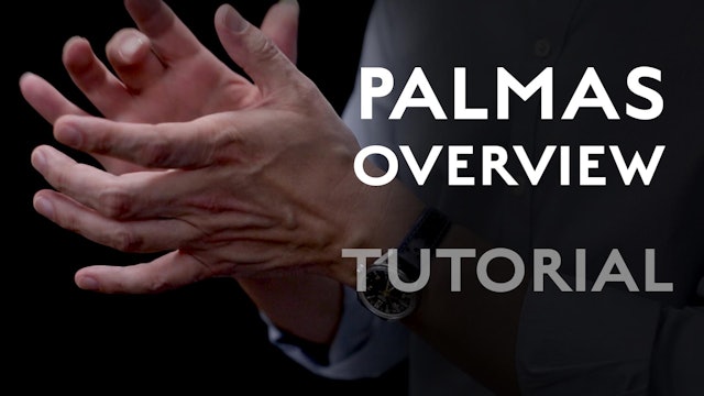 Palmas - Overview