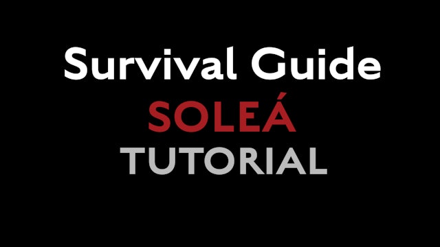 Survival Guide - Solea for accompanying dance