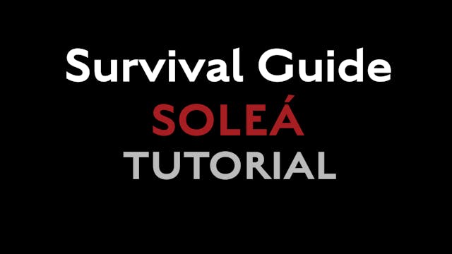 Survival Guide - Solea for accompanyi...