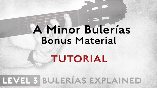 Bulerias Explained - Level 3 - BONUS MATERIAL - A Minor Bulerias - TUTORIAL