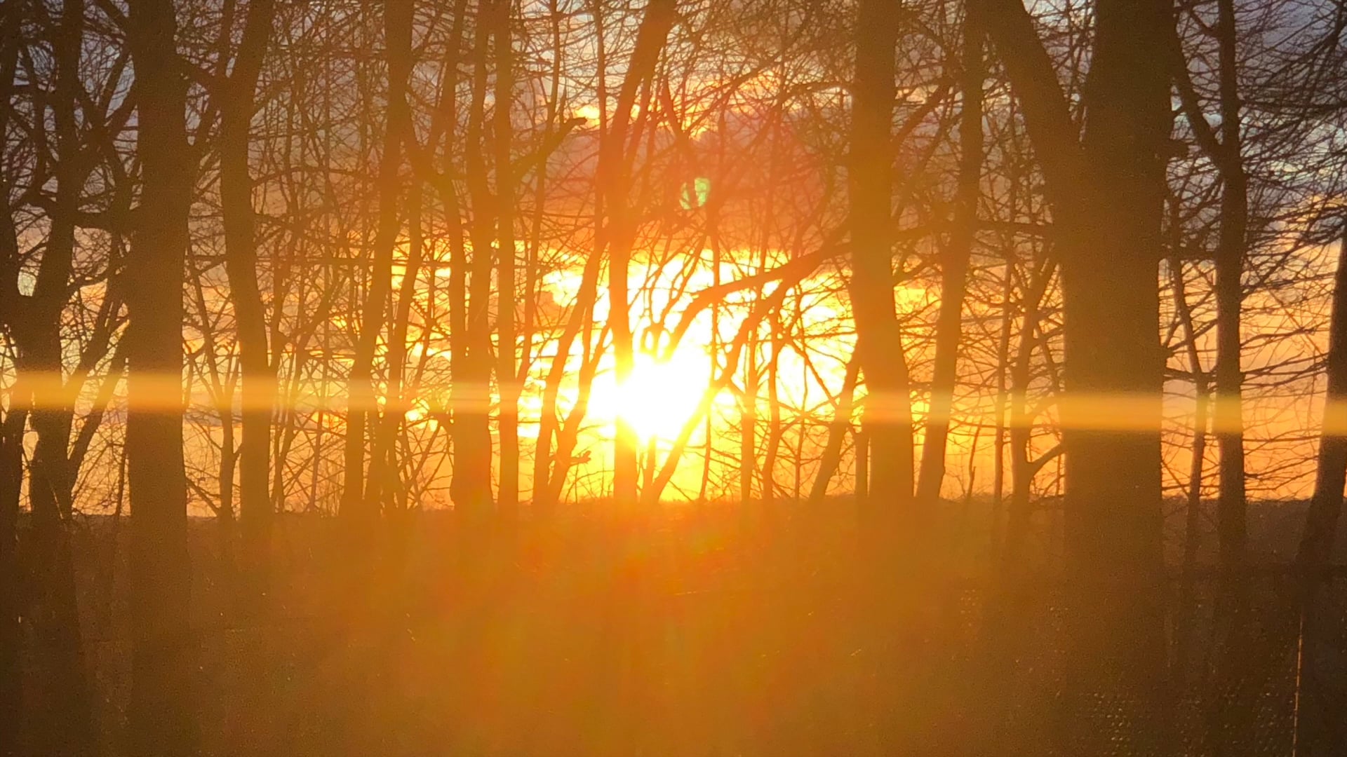 Walking Mindful Meditation with Giseptte Nunez