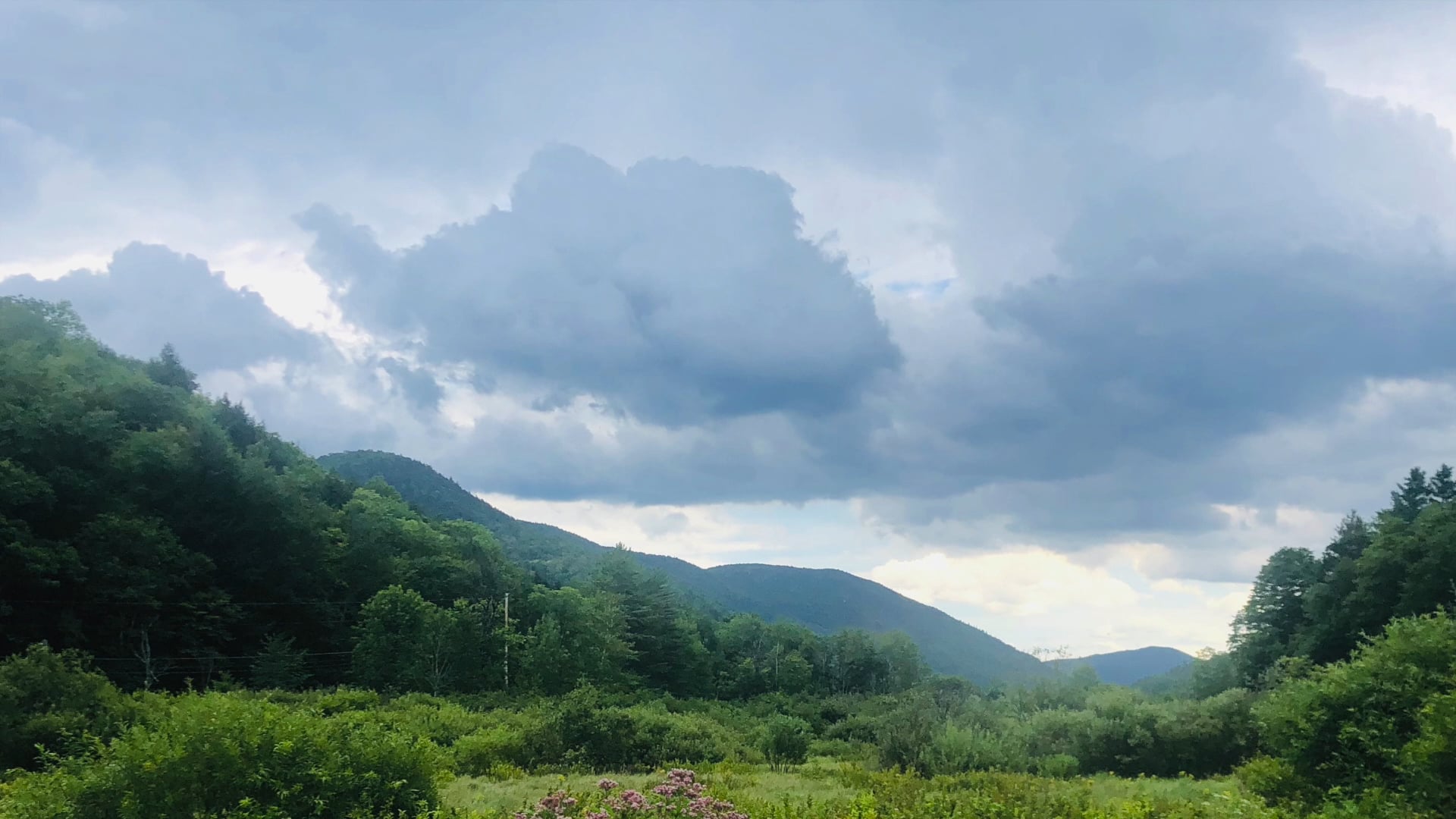 Be Present Meditation with Giseptte Nunez