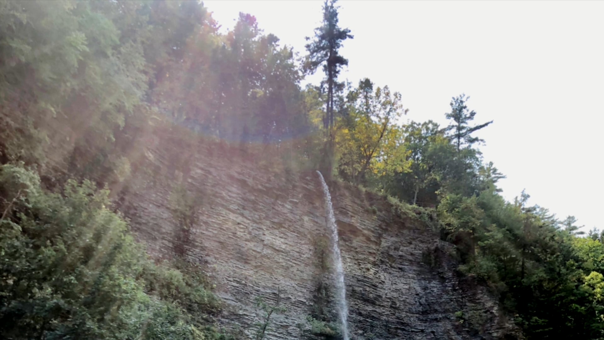 Like Water Meditation with Giseptte Nunez