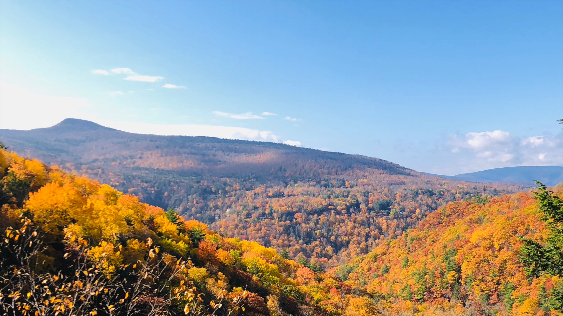 Positive Affirmations with Giseptte Nunez