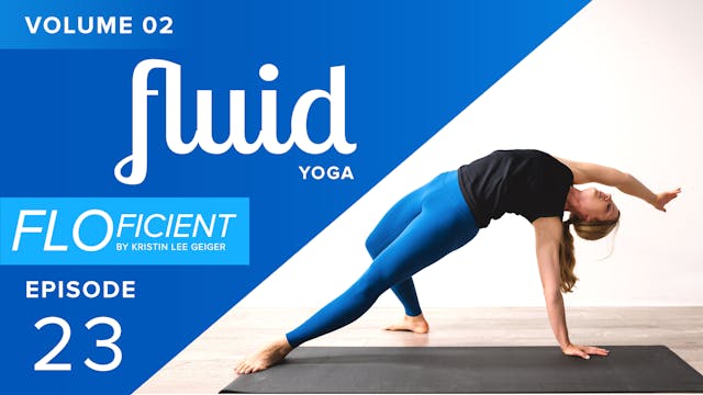 FLUID (V02:E23)