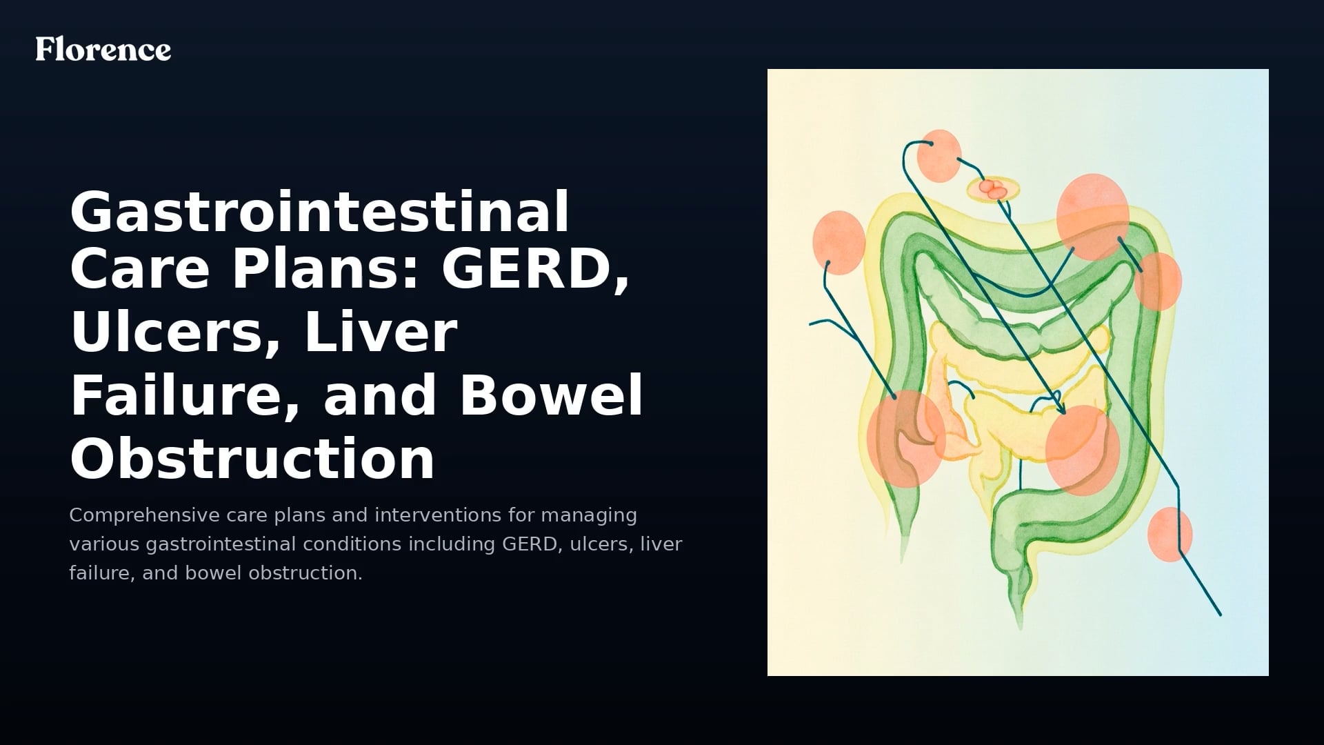 7b. Gastrointestinal Pathophysiology