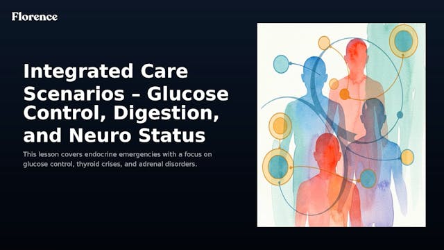 7d. Integrated Care Scenarios