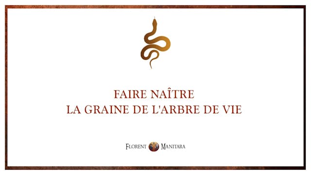 Faire naître la graine de l'arbre de ...