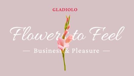 Flowers to Feel Video