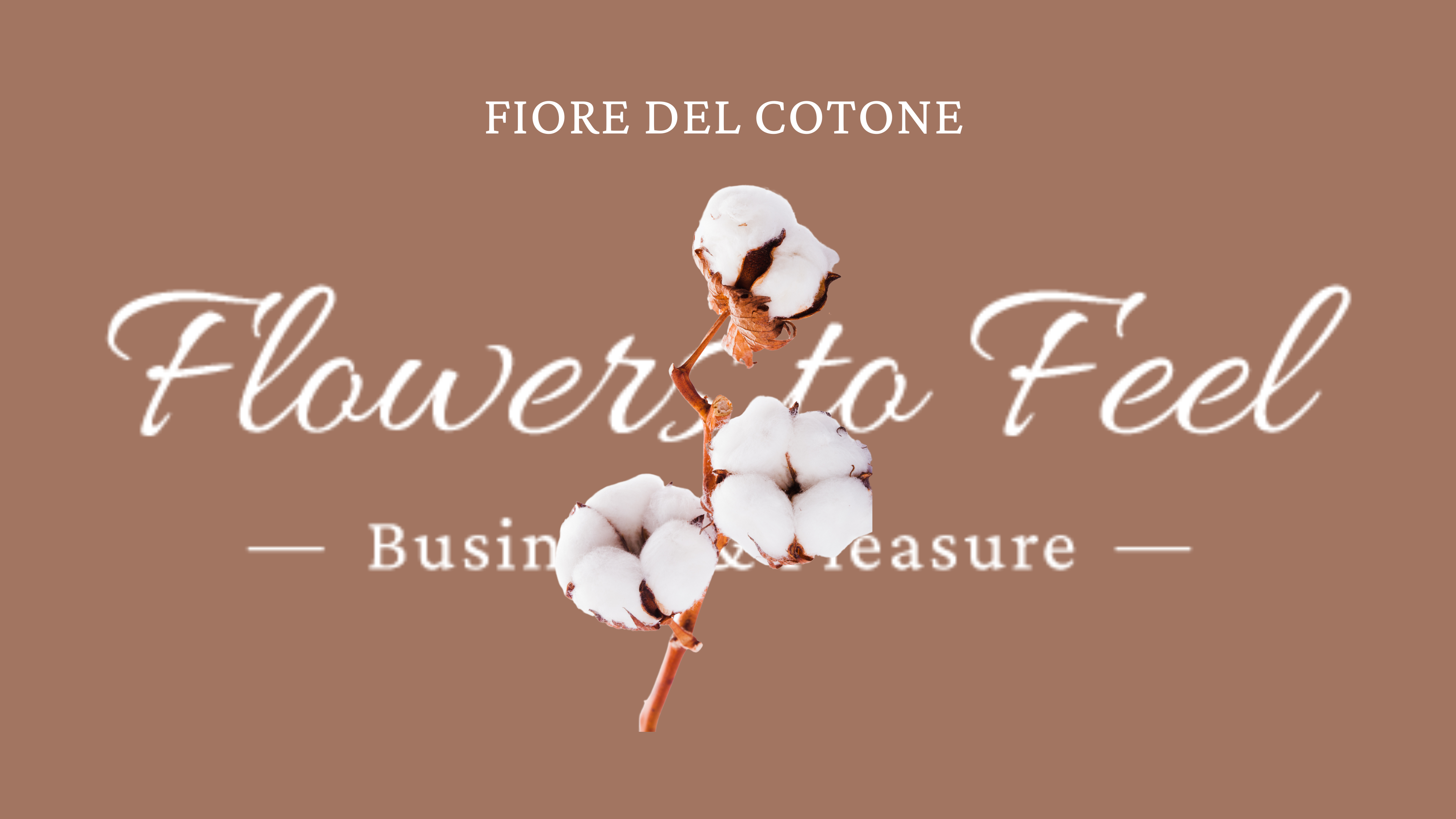 Fiore del Cotone