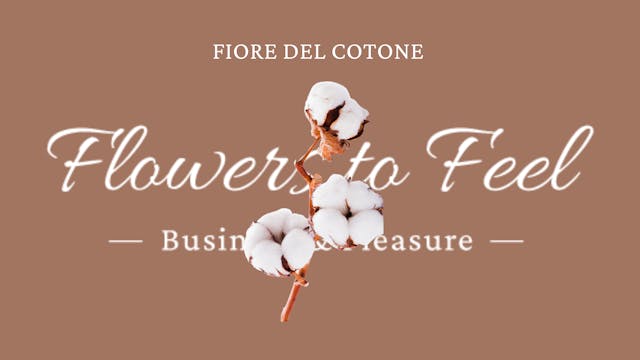 Fiore del Cotone