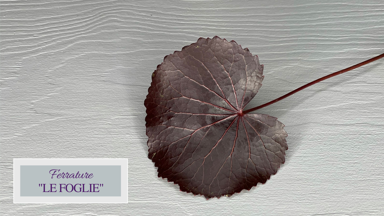 Ferrature - Le Foglie