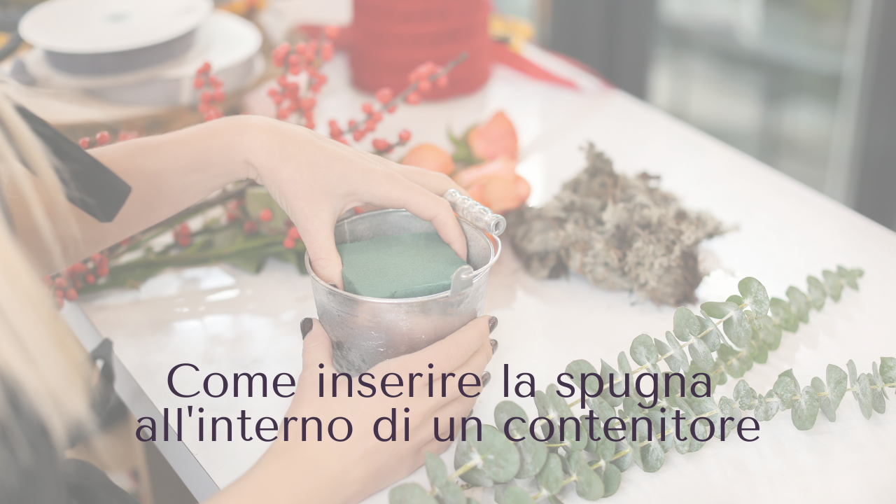 Spugne, come inserirle nel Contenitore