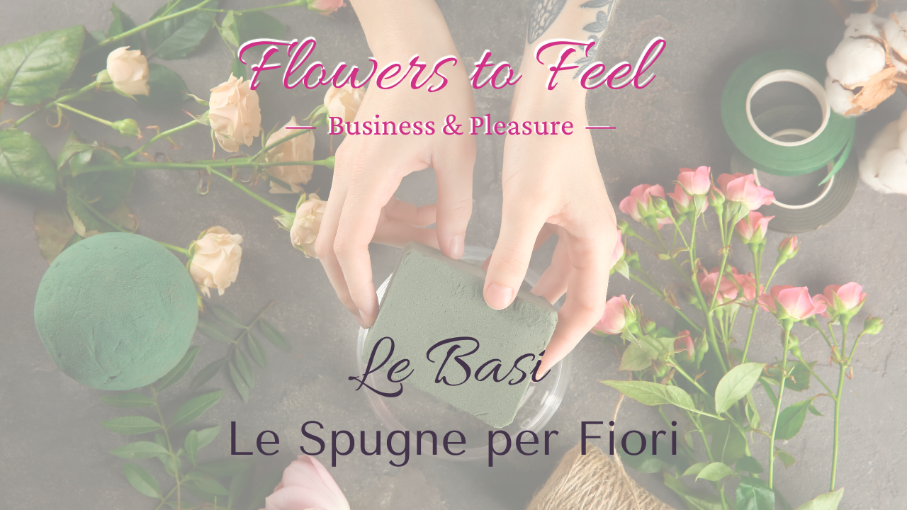 Spugne per Fiori